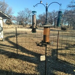 Meet your Posher, Lyndel